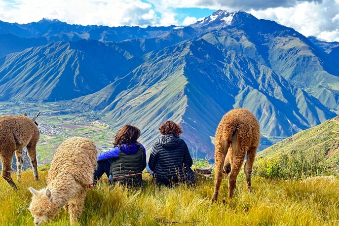 Alpaca Walk over the Sacred Valley of the Incas from Cusco - Getting from Cusco: meeting point and timing that matter