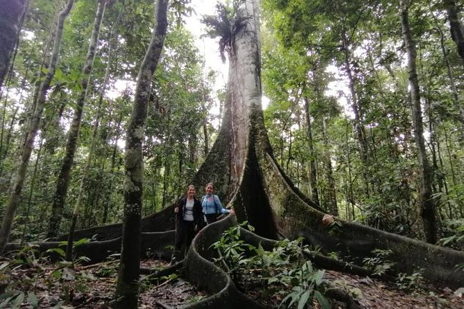 Amazing Jungle 3Days 2Nights - Amazon Wonder Expeditions - Key highlights worth planning around