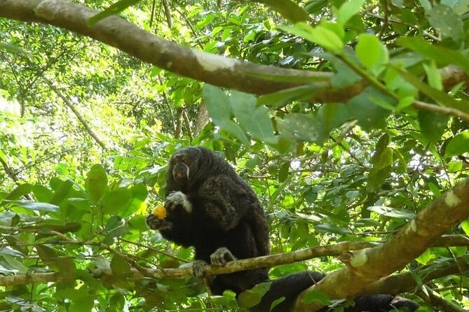 Amazing Jungle 3Days 2Nights - Amazon Wonder Expeditions - Lodge reality: rustic cabins, clean basics, and how staff makes it work