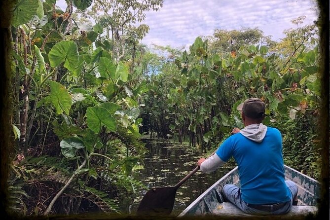 Amazon Extreme Adventure 4/ Days /3 Nights - Day 4: Giant Water Lilies and Piranha Fishing, Then Back to Iquitos