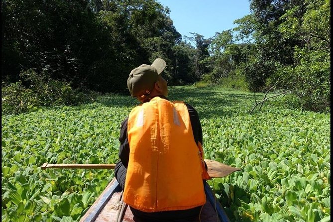 Amazon jungle expedition 4/ Days 3/ Nights - Day 2: sunrise birds, medicinal plants, lakes, and a night boat for alligators