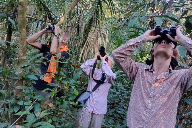 amazon jungle experience 3 days 2 nights - What kind of traveler will love this?