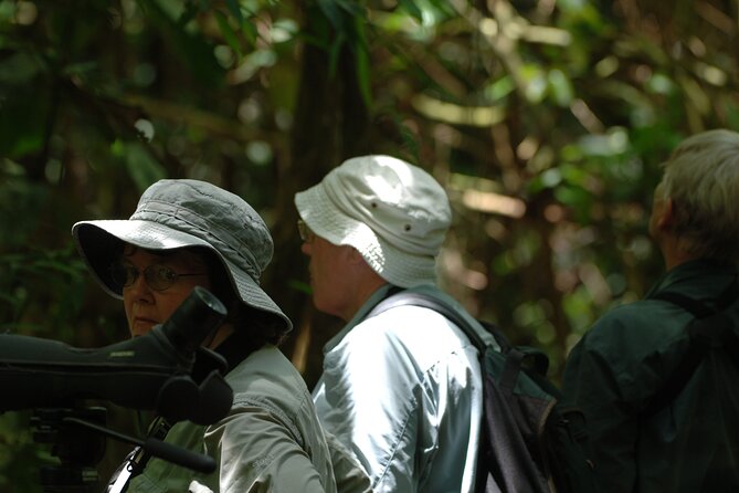 Amazon Jungle Tour 3 days - Cusco Morning Starts Early, Then You Gain Altitude Perspective