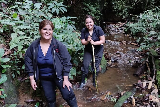 Amazon Jungle Tour 3 days - Day 3 Morning Loop, Flashlights in Caves, Then Back to Cusco by Late Afternoon