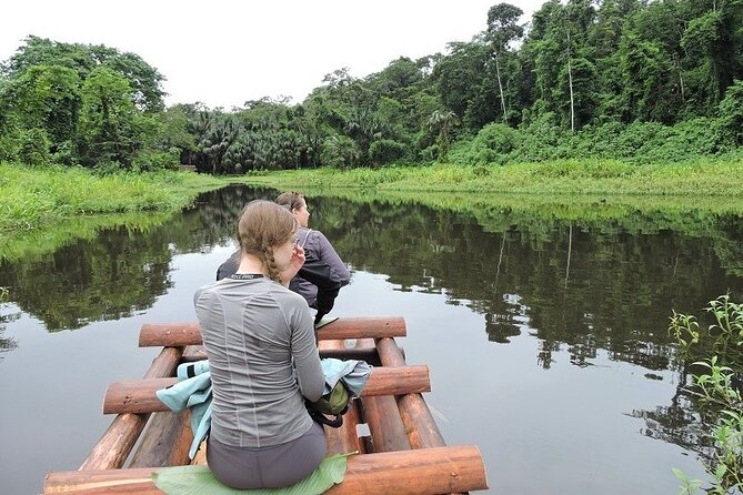 Amazon Jungle Tour 3 days - Arriving at Guadalupe Lodge, Then Night Finds Its Way to You