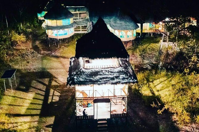 amazon rainforest adventure 3/ Days 2/ Nights - Day 1: River Junction, Dolphins, and Night Walk Tarantulas