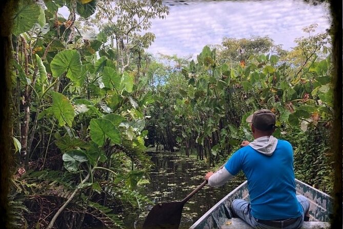 amazon rainforest adventure 3/ Days 2/ Nights - Day 3: Howler Monkey Walk, Medicinal Plants, and Piranha Fishing
