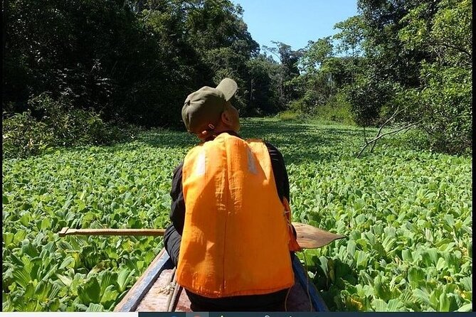 amazon rainforest adventure 3/ Days 2/ Nights - Lodge Life, Meals, and What Comfort Really Means Here