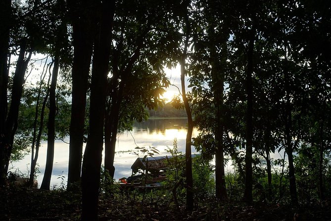 Amazon Wildlife Excursions 2/ Days /1 night - Day 2 Sunrise and the Wildlife Search Mindset