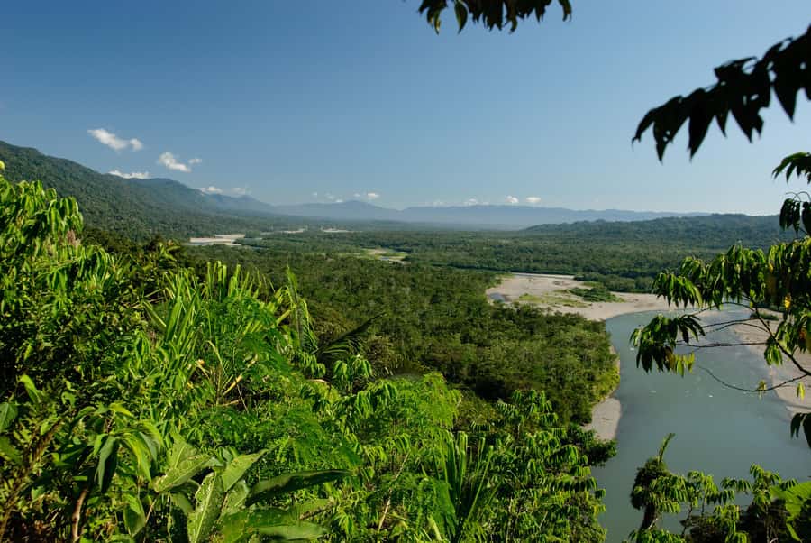 Amazonas Manu Cultural Zone 4 Days / 3 Nights - Day 4: final jungle hike, watchtower time, and return to Cusco by late afternoon