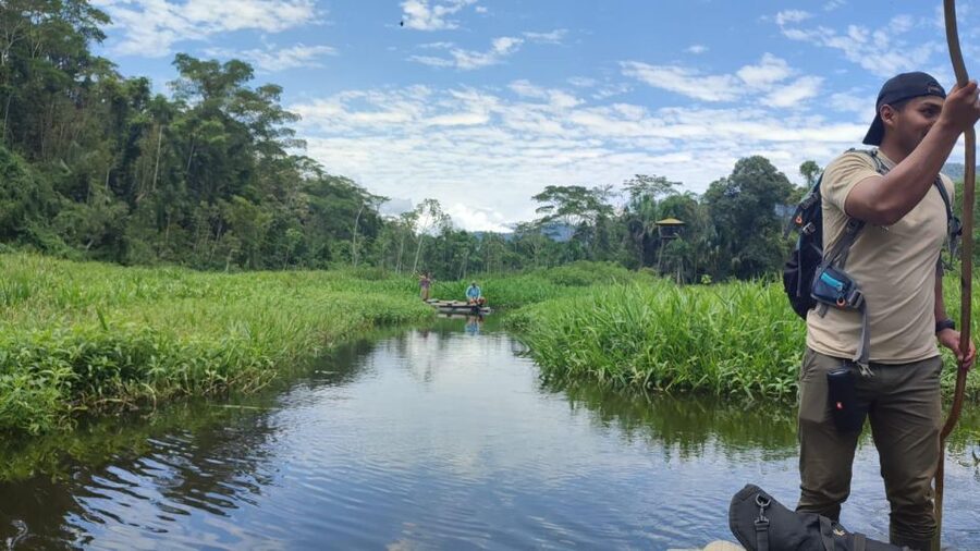 Amazonian Adventure 3 Days: Exploring the Jungle from Cusco - Price and Value: Is $429 Worth It?