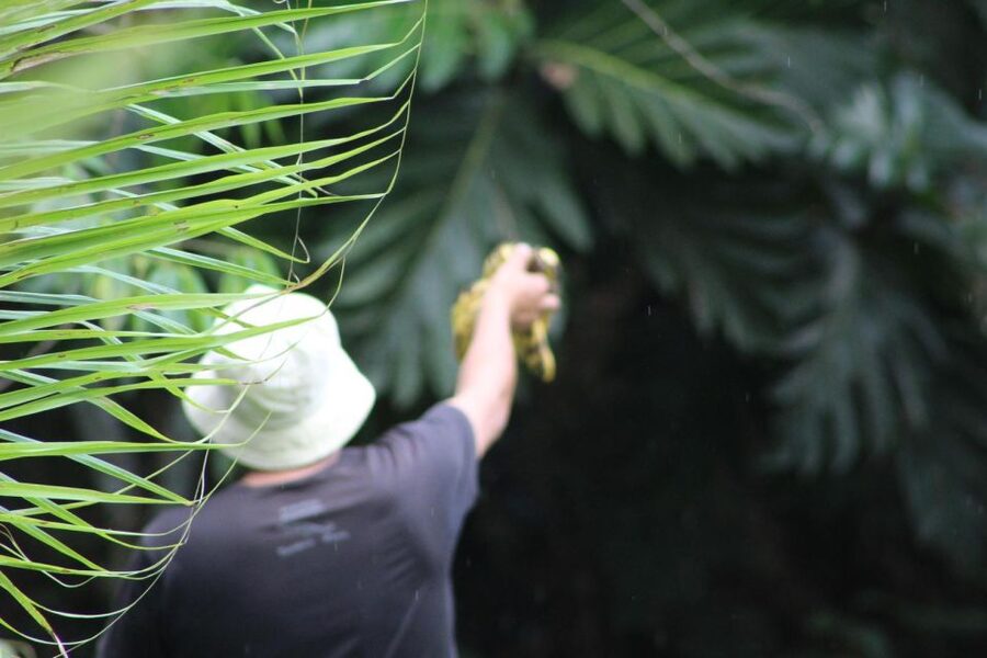 Amazonian Adventure 3 Days: Exploring the Jungle from Cusco - Who This Trip Fits Best, and Who Should Skip It