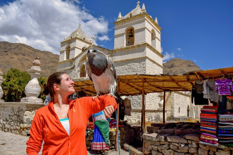 Andes: Colca Canyon Day-Trip - A Very Early Start for Big-Wing Views in Colca Canyon