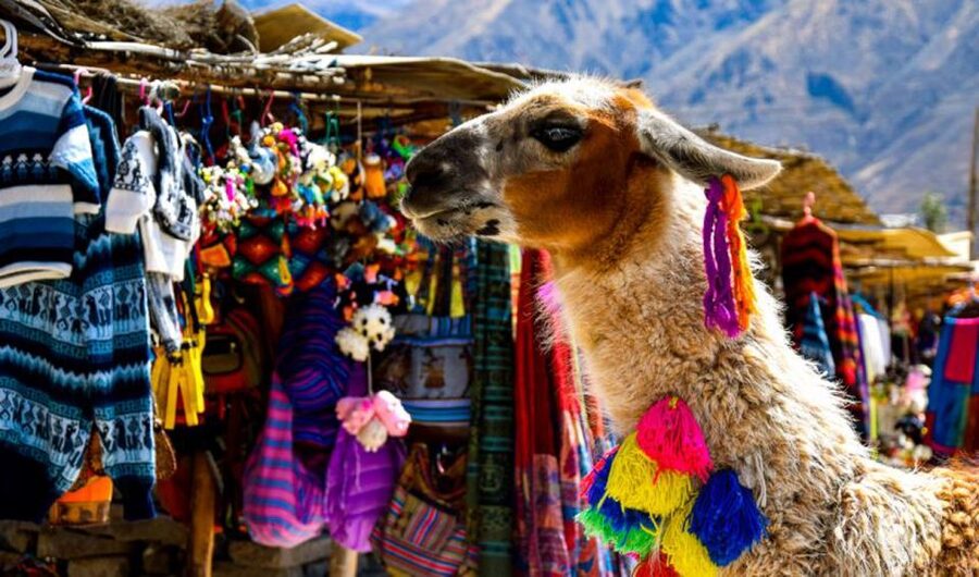 Andes: Colca Canyon Day-Trip - Maca Village Farming, an 18th-Century Church, and Chivay’s Human Scale