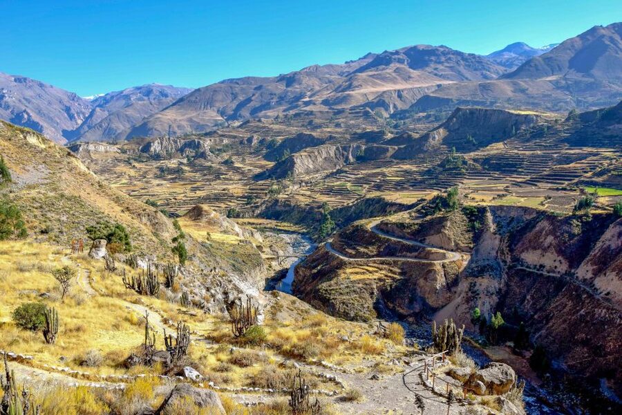 Andes: Colca Canyon Day-Trip - Patapampa at 4,800m: Ampato Volcano and the Juanita Connection