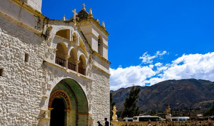 Andes: Colca Canyon Day-Trip - Toqrapampa Lagoons and Pampa Cañahuas: A Wildlife Ending With Real Variety