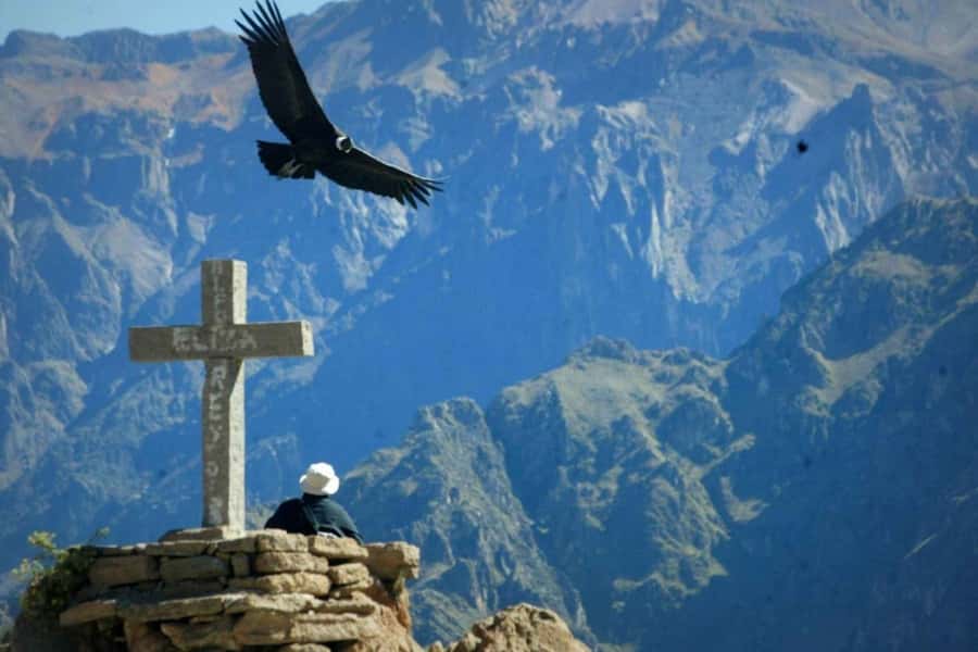Arequipa: 1-Day Colca Canyon + Thermal Baths Tour - Mirador de la Cruz del Condor: the 1.5-hour condor moment