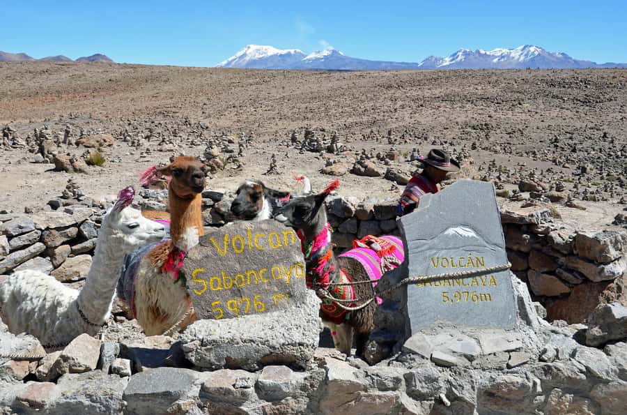Arequipa: 2-Day Colca Canyon Classic Tour return to Arequipa - Guide quality in plain English: what to expect on the narration