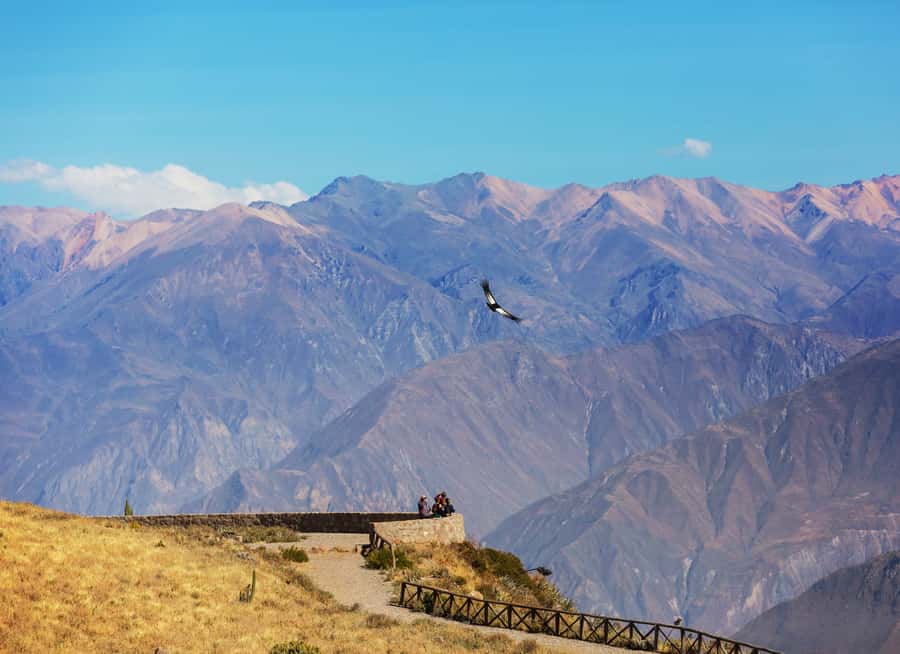 Arequipa: 2-Day Colca Canyon Classic Tour return to Arequipa - Chacapi hot springs in Yanque: the best way to reset your body