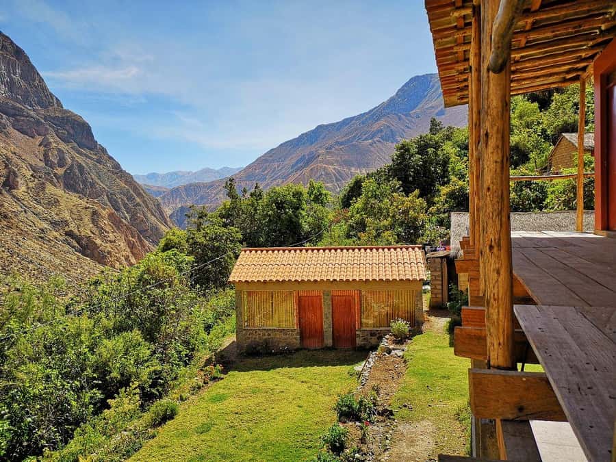 Arequipa: 2-day Colca Canyon Trekking, Ending in Puno - Cruz del Cóndor: canyon depth, timing, and photo reality