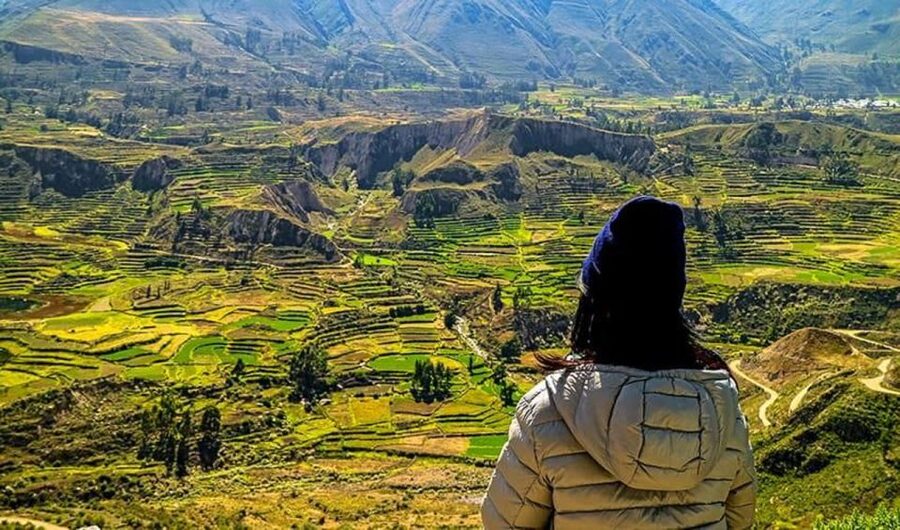 Arequipa: City and Country Tour - Andenes de Paucarpata: Microclimates You Can Actually See