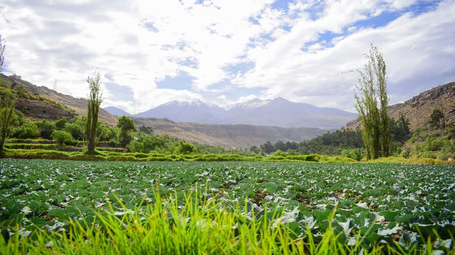 Arequipa: City and Countryside Panoramic Bus Tour - Sachaca Pass-By: Colonial Power and Local Summer Pool Life