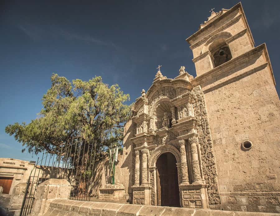 Arequipa: City Tour and Santa Catalina Monastery - Basilica of the Company of Jesus: White Stone and Neo-Renaissance Details
