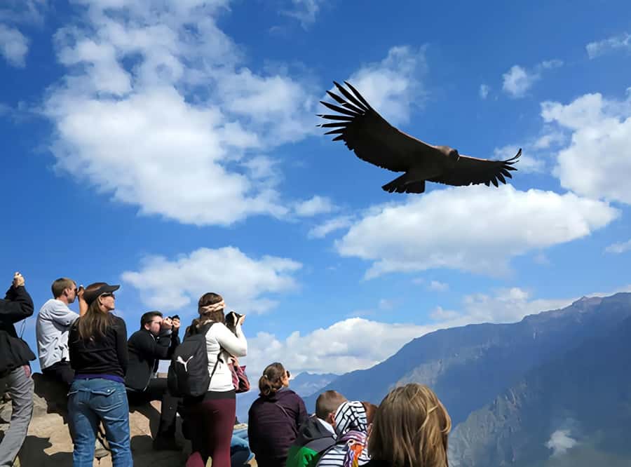 Arequipa: Full Day Colca Canyon Tour Roundtrip from Arequipa - How the Day Runs, and Why the Morning Matters
