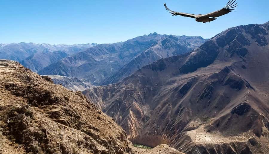 Arequipa: Full Day Colca Canyon Tour Roundtrip from Arequipa - Maca Village and the Colca Sour Break