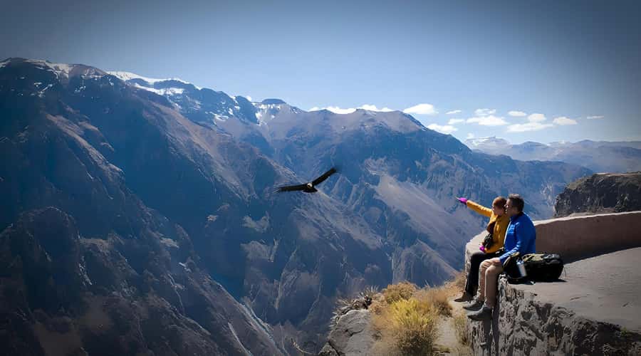 Arequipa: Full Day Colca Canyon Tour Roundtrip from Arequipa - Salinas and Aguada Blanca National Reserve: Wildlife Time Near the End