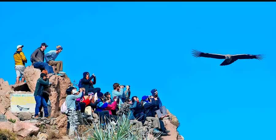 Arequipa: Full Day Colca Canyon Tour Roundtrip from Arequipa - Entering the Colca Valley at Muyurina Viewpoint and Antahuilque