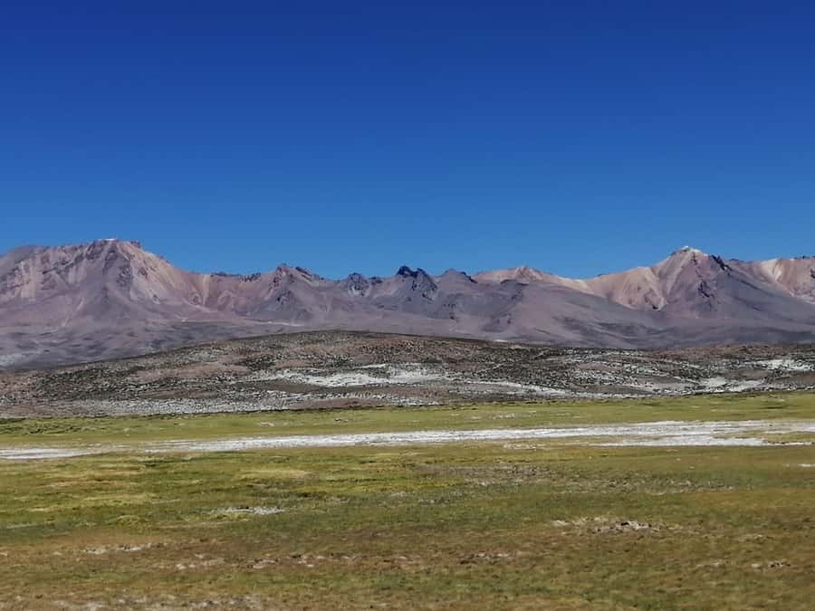 Arequipa: Full-Day Tour to Salinas Salt Lake - Getting Rolling from Arequipa, and Why the 6am Pickup Matters