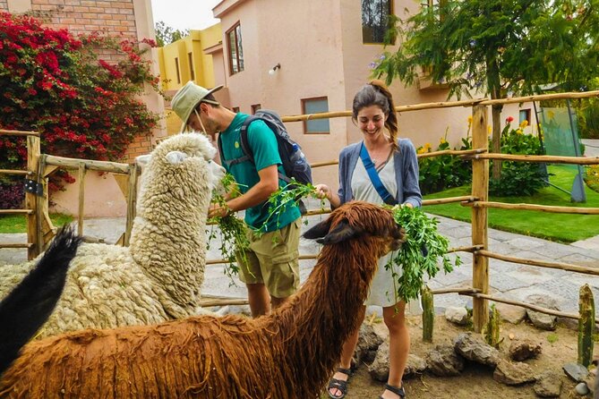 Arequipa Panoramic Bus Tour - Sachaca District and the countryside drive between monuments