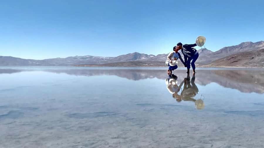 Arequipa: Salinas Lagoon Tour Offer Price - Key Highlights You Should Care About