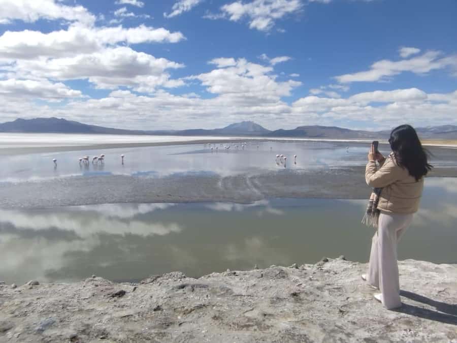 Arequipa: Salinas Lagoon Tour Offer Price - Optional Hot Springs and a Short Reserve Walk
