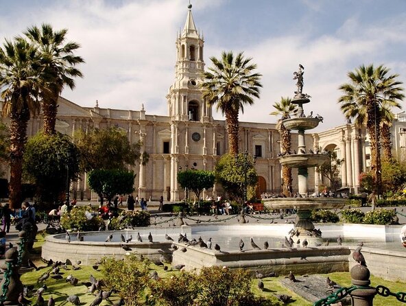 Arequipa Tasting Tour - Key highlights you’ll care about