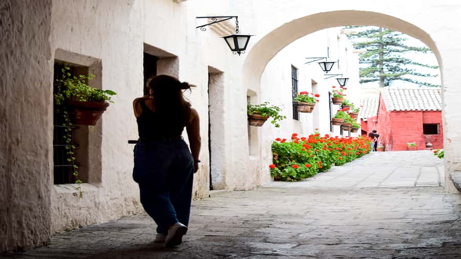 Arequipa: Walking Tour and Santa Catalina Monastery - Languages, guide style, and what to expect during the explanations