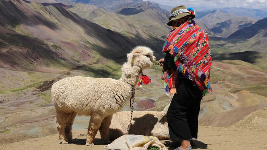 Arrive before the crowd to the Mountain in private service - Key highlights you will feel immediately