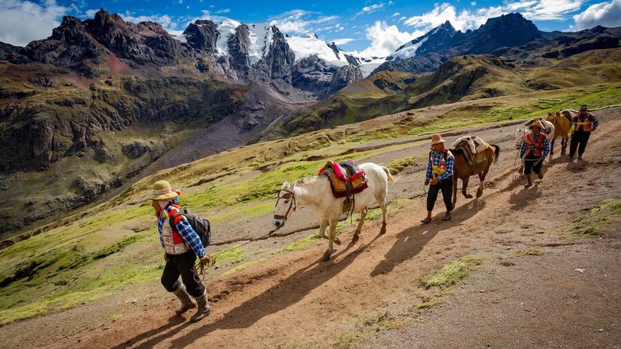 Arrive before the crowd to the Mountain in private service - The comfort of a Cusipata buffet lunch, then back to Cusco