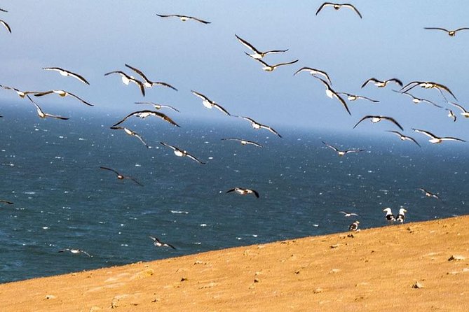 ATV Tour Adventure in Reserva Nacional de Paracas - Pickup, location, and fitting this into your day