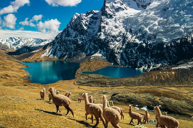Ausangate Glacier Quad Adventure Tour - Key Things You Will Notice on This Ausangate Quad Day