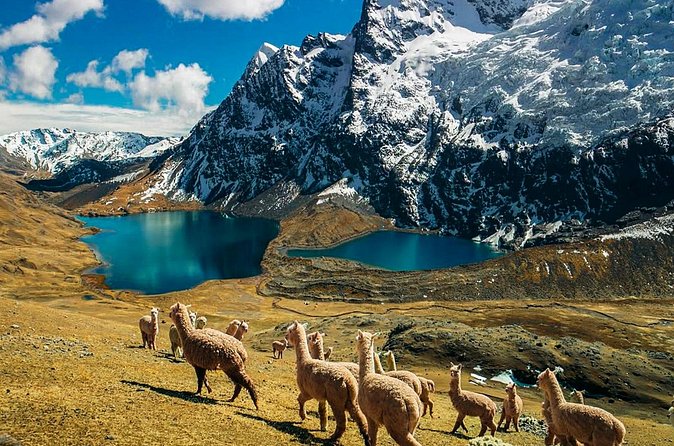 Ausangate Glacier Quad Adventure Tour - Nevado Auzangate Hike: A Strategic Viewpoint in About an Hour