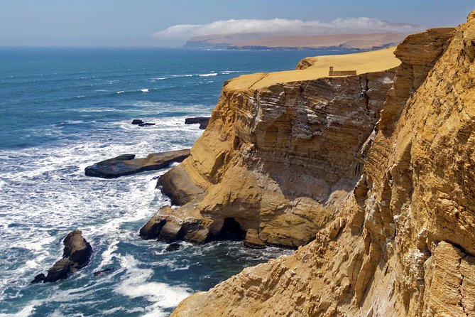 Ballestas island & Paracas reserve from PISCO CRUISESHIP TERMINAL - Comfort and logistics that affect your experience