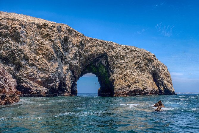 Ballestas island & Paracas reserve from PISCO CRUISESHIP TERMINAL - Wildlife watching here is “nature rules,” not a guarantee