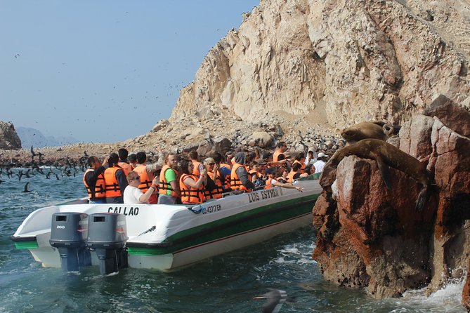 Ballestas Island Tour Sightseeing Boat - The Big Reason This Tour Works: Wildlife, Ocean, and Easy Paracas Access