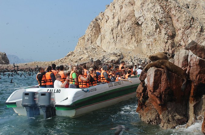 Ballestas Island Tour Sightseeing Boat - How the Candelabro Stop Fits In (and What You Should Look For)