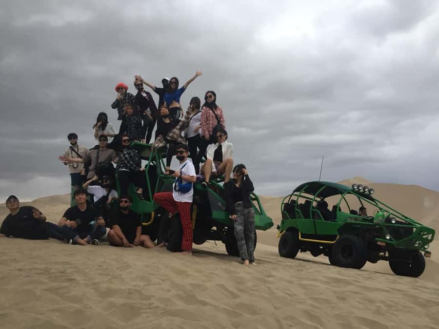 Ballestas Islands and Huacachina Oasis Half-Day Tour - Up to three islands on Ballestas, plus caves and wildlife