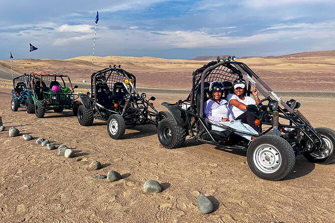 Ballestas Islands and Mini Buggy Adventure from Ica - Ica or Huacachina pickup, then straight to Paracas