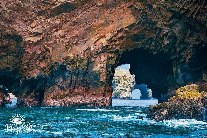 Ballestas Islands and Mini Buggy Adventure from Ica - Lunch in Paracas: your time to recharge