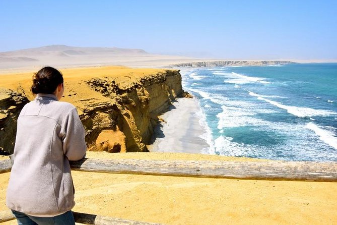 Ballestas Islands and Paracas National Reserve Day Trip from Paracas - Why Ballestas and Paracas make a great 7-hour plan